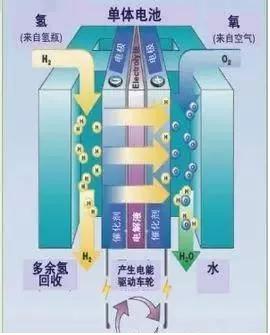 电化学反应器