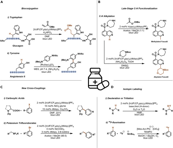 图 2.药物化学中感兴趣的光催化反应的代表性例子(A-D)生物共轭(A)、后期 CH功能化(B)、C sp3 -C sp2交叉偶联反应 (C)、同位素标记 (D)。