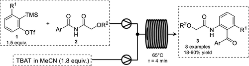 图1.连续流Aryne–Imide Insertion