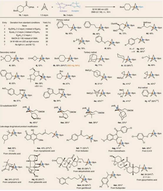 Table1.由氧化还原活性酯合成BCP-硼酸衍生物（图片来源：Nat. Chem.）