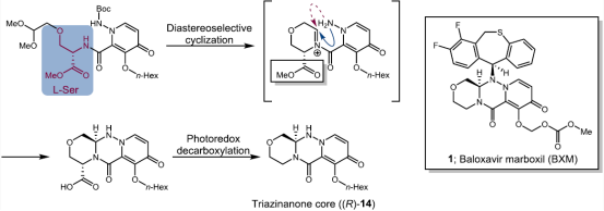 图 1：Shionogi Pharma 的 BXM 方法概述