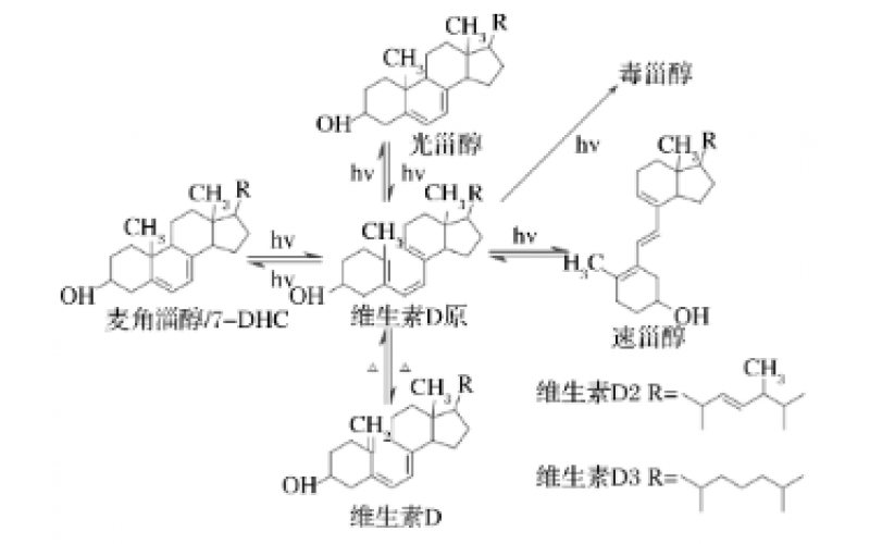 光化学合成维生素D